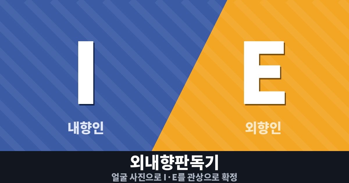 내외향판독기